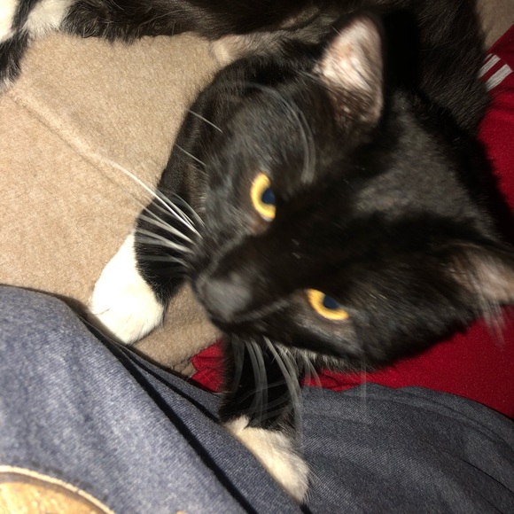 Meet your Posher, Tyleelah - Picture 1 of 1